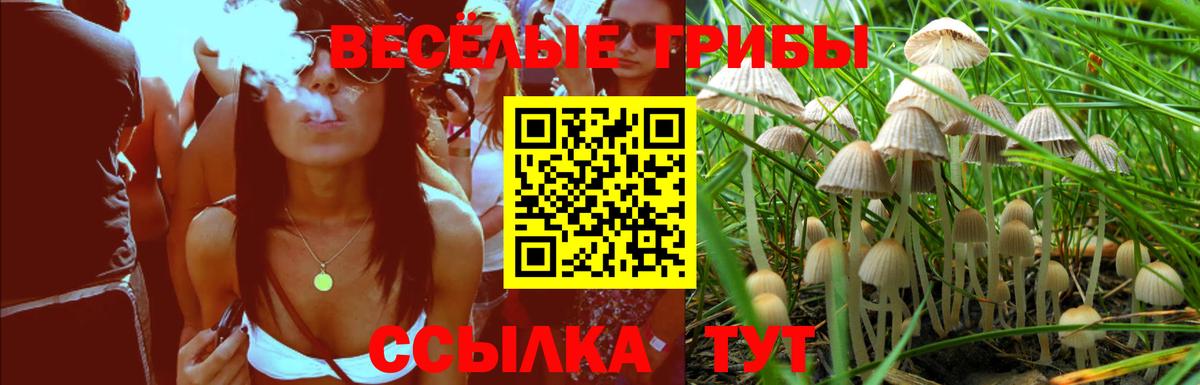 Галлюциногенные грибы прущие грибы  Вход с VPN  Галлюциногенные грибы Psilocybine cubensis  Видное 